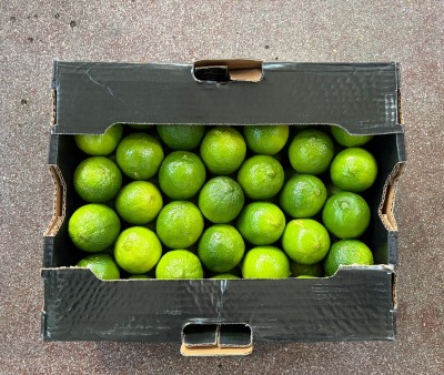 Foto Lime Origine Brasile Marchio Brazilian Limes 3