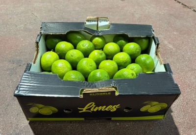 Foto Lime Calibro 54 Origine Brasile Marchio Limes 1