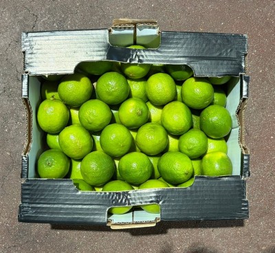 Foto Lime Calibro 54 Origine Brasile Marchio Limes 3