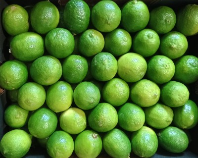 Foto Lime Confezione Da 4 Kg Origine Brasile Marchio Limes 2