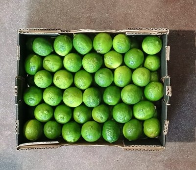 Foto Lime Confezione Da 4 Kg Origine Brasile Marchio Limes 3