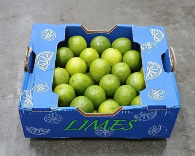 Foto Lime Varietà Tahiti Calibro 54 Origine Brasile Marchio Limes 1
