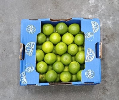 Foto Lime Varietà Tahiti Calibro 54 Origine Brasile Marchio Limes 3