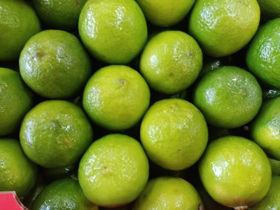 Foto Lime Varietà Tahiti Calibro 54 Origine Brasile Marchio Limes   2