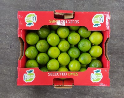 Foto Lime Varietà Tahiti Calibro 54 Origine Brasile Marchio Limes   3