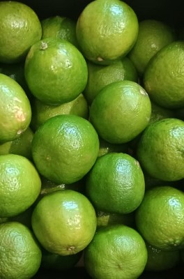 Foto Lime Confezione Da 4 Kg Origine Brasile Marchio LIme   2
