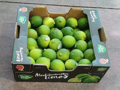 Foto Lime Varietà Limes Confezione Da 4 Kg  Origine Brasile Marchio LImes 1
