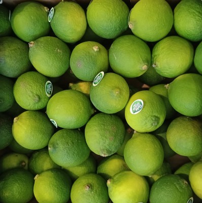 Foto Lime Varietà Limes Confezione Da 4 Kg  Origine Brasile Marchio LImes 2