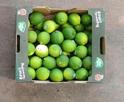 Foto Lime Varietà Limes Confezione Da 4 Kg  Origine Brasile Marchio LImes 3