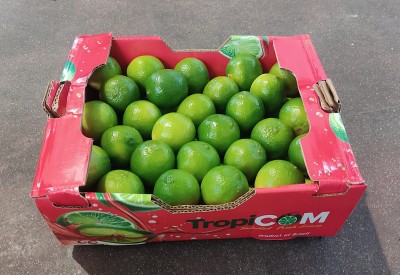 Foto Lime Calibro 54 Origine Brasile Marchio Tropicom       1