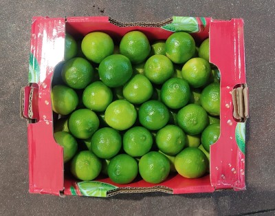 Foto Lime Calibro 54 Origine Brasile Marchio Tropicom       3