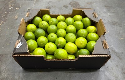 Foto Lime Calibro 48 Origine Brasile Marchio Mc Garlet                1