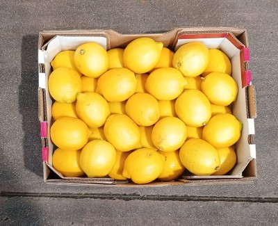 Foto Limoni Varietà Eureka Calibro 35 Origine Argentina Marchio Battaglio 3