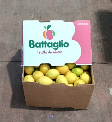 Foto Limoni Deflogliati Confezione Da 15 kg Origine Argentina Marchio Battaglio          1
