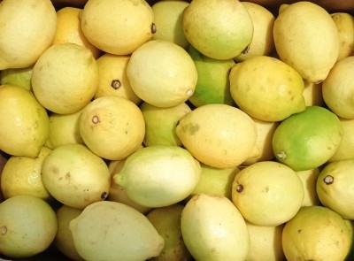 Foto Limoni Deflogliati Confezione Da 15 kg Origine Argentina Marchio Battaglio          2