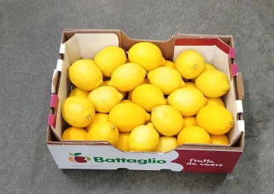 Foto Limoni Varietà Eureka Origine Argentina Marchio Battaglio  1
