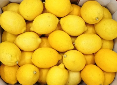 Foto Limoni Varietà Eureka Origine Argentina Marchio Battaglio  2