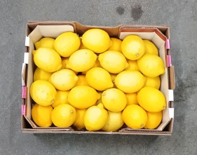 Foto Limoni Varietà Eureka Origine Argentina Marchio Battaglio  3
