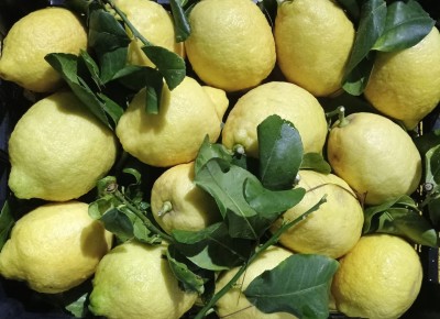Foto Limoni Affogliati Origine Italia Marchio Gaf  2