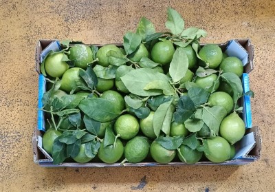 Foto Limoni Affogliati Calibro 3 Origine Spagna Marchio Triolo 3