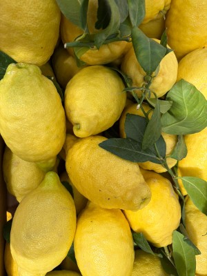 Foto Limoni varietà Verna Calibro 3 Origine Spagna Marchio Triolo               2
