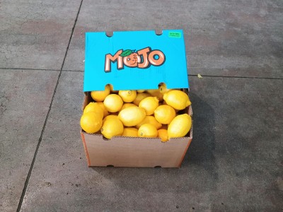 Foto Limoni Varietà Eureka Calibro 75 Origine Sud Africa Marchio Mojo 1