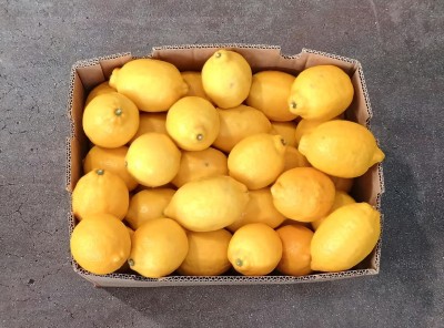 Foto Limoni Varietà Eureka Calibro 75 Origine Sud Africa Marchio Mojo 3