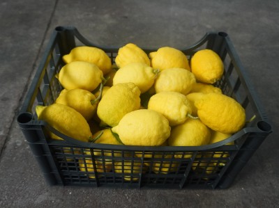 Foto Limoni Affogliati  Calibro 1/3 Origine Italia Marchio HILIAS SOC COOPERATIVA 1