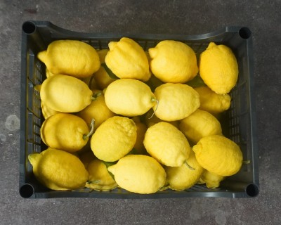 Foto Limoni Affogliati  Calibro 1/3 Origine Italia Marchio HILIAS SOC COOPERATIVA 3