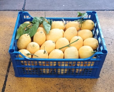 Foto Limoni Affogliati  Calibro 2/3 Origine Italia Marchio Acri 1