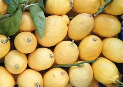 Foto Limoni Affogliati  Calibro 2/3 Origine Italia Marchio Acri 2