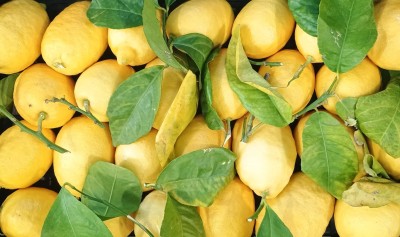 Foto Limoni Affogliati Calibro 2/3 Origine Italia Marchio Hilias 2