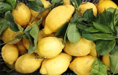 Foto Limoni Affogliati Calibro 1/2/3 Origine Spagna Marchio Frutas Superior  2