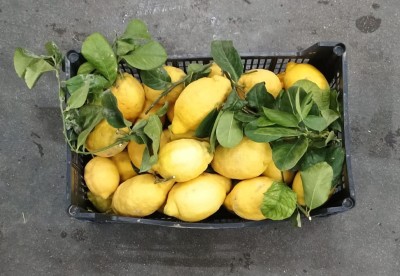 Foto Limoni Affogliati Calibro 1/2/3 Origine Spagna Marchio Frutas Superior  3