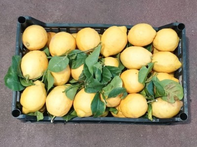 Foto Limoni Affogliati Origine Italia Marchio Fresh Nature srl 3