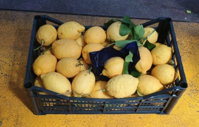 Foto Limoni Affogliati Origine Italia Marchio Lf Fruit           1
