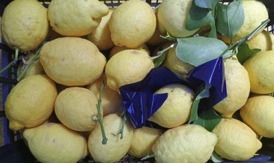 Foto Limoni Affogliati Origine Italia Marchio Lf Fruit           2