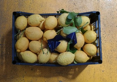 Foto Limoni Affogliati Origine Italia Marchio Lf Fruit           3