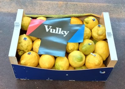 Foto Limoni Varietà Verna Origine Spagna Marchio Vulky 1