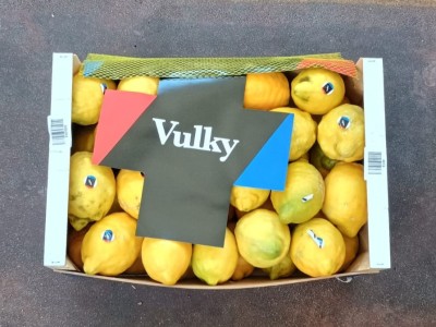 Foto Limoni Varietà Verna Origine Spagna Marchio Vulky 3