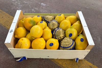 Foto Limoni Primo Fiore Calibro 3/4 Origine Italia Marchio Caramelo  1