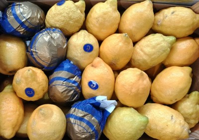 Foto Limoni Varietà Verna Origine Spagna Marchio Caramelo           2
