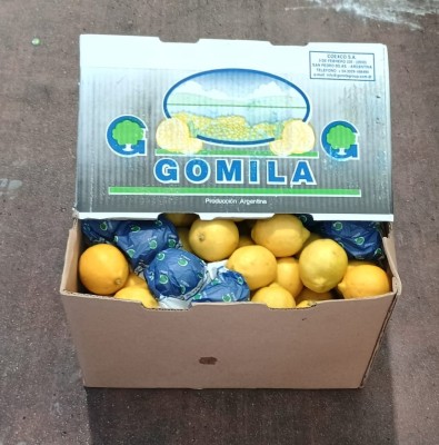 Foto Limoni Varietà Eureka Confezione Da 18 Kg Origine Argentina Marchio Gomilla  1