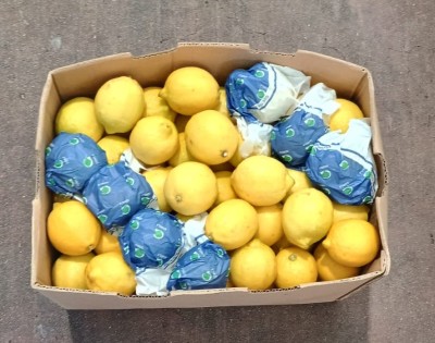 Foto Limoni Varietà Eureka Confezione Da 18 Kg Origine Argentina Marchio Gomilla  3