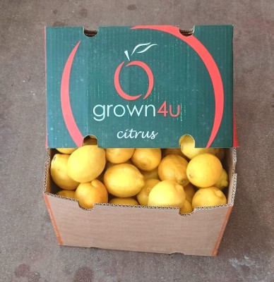 Foto Limoni Varietà Eureka Calibro 75 Origine Sud Africa Marchio Grown 1