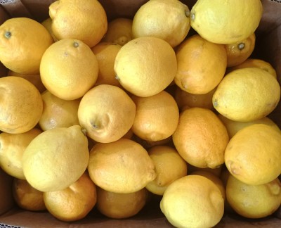 Foto Limoni Varietà Eureka Calibro 75 Origine Sud Africa Marchio Grown 2