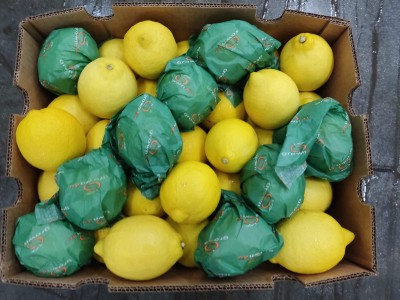 Foto Limoni Varietà Eureka Calibro 88 Origine Sud Africa Marchio Grown 4 U 2