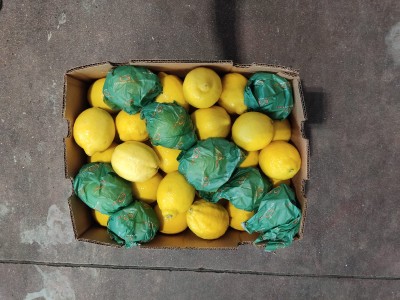 Foto Limoni Varietà Eureka Calibro 88 Origine Sud Africa Marchio Grown 4 U 3