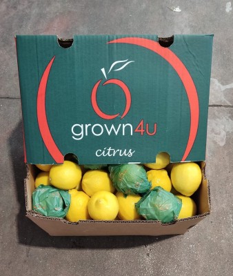 Foto Limoni Varietà Eureka Calibro 75 Origine Sud Africa Marchio Grown Up  1