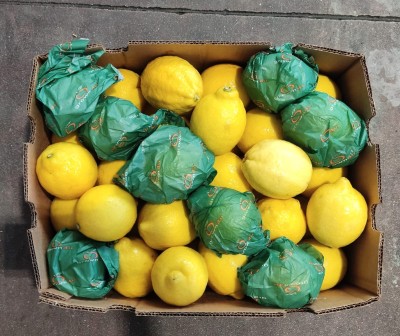 Foto Limoni Varietà Eureka Calibro 75 Origine Sud Africa Marchio Grown Up  3